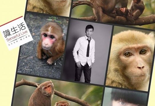 【識流年】2016・型s格拜年・猴年運程